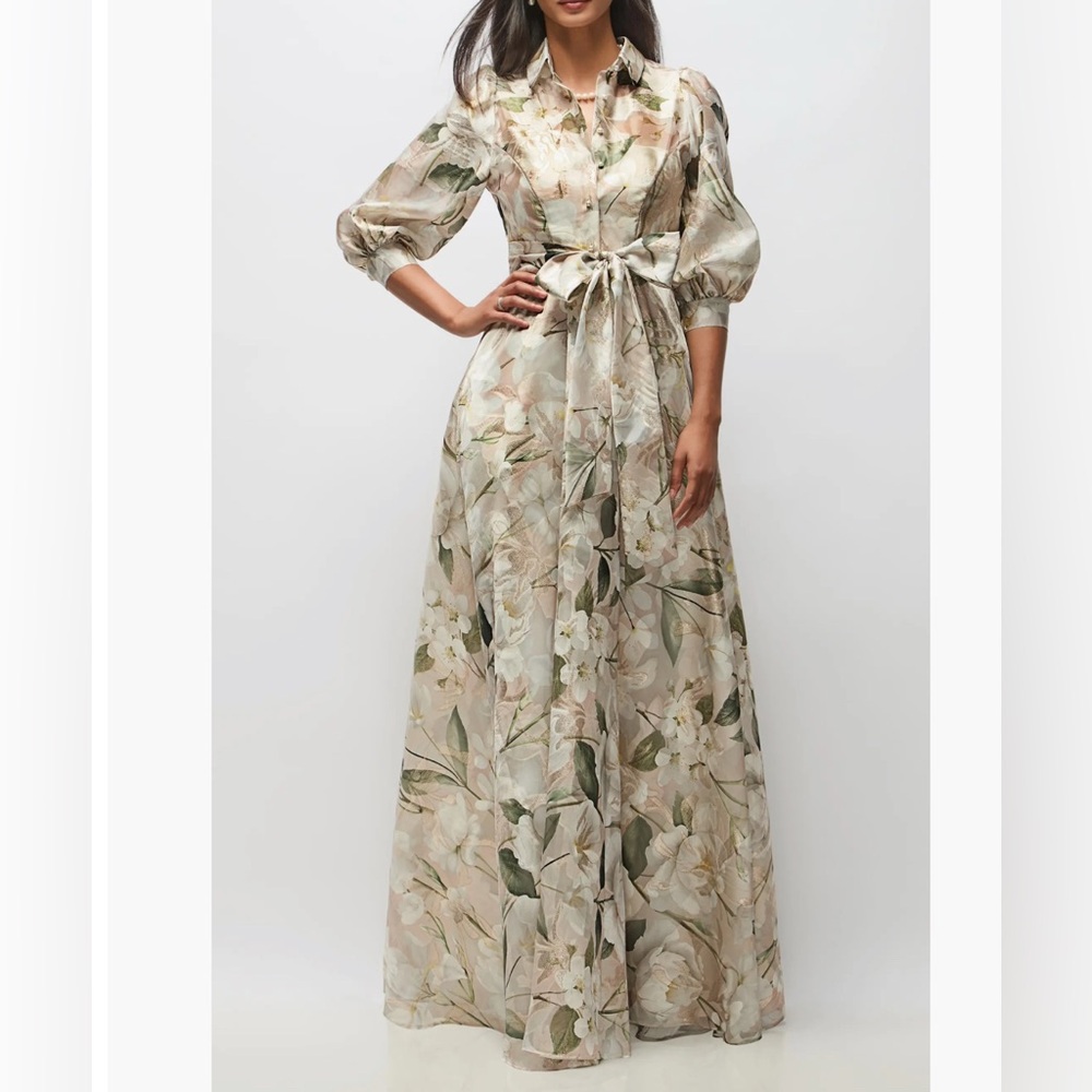 After Six Sheer Floral Maxi Dress in Ivory and Sage